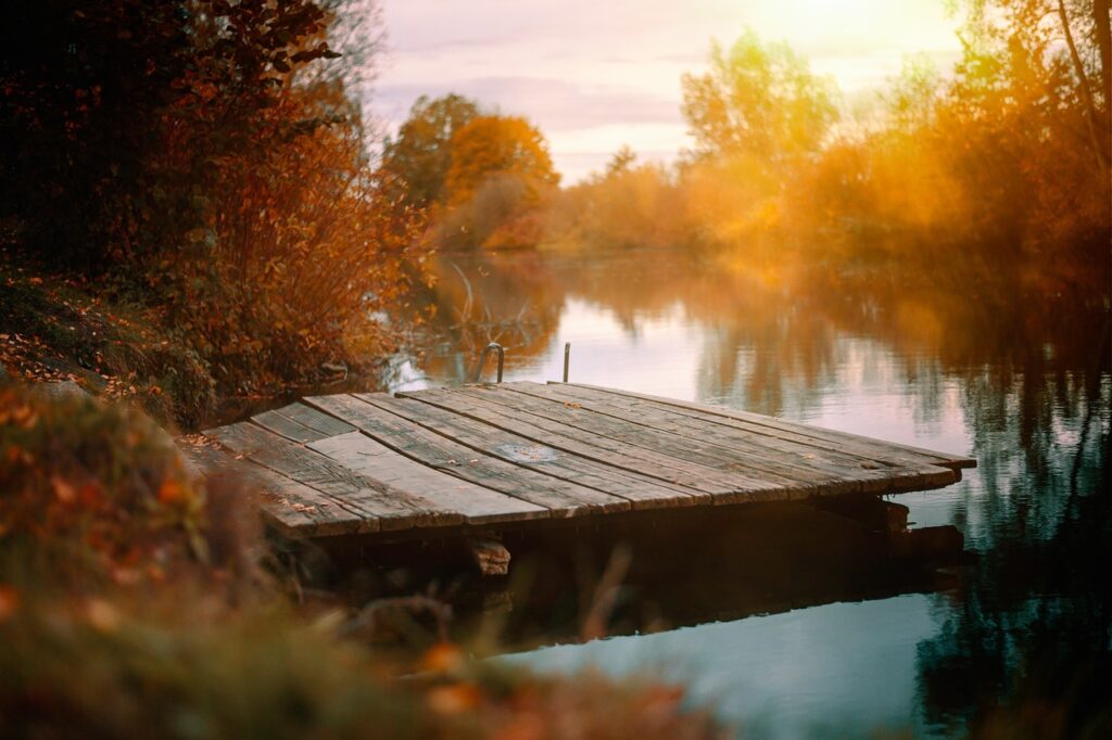 lake, boardwalk, nature