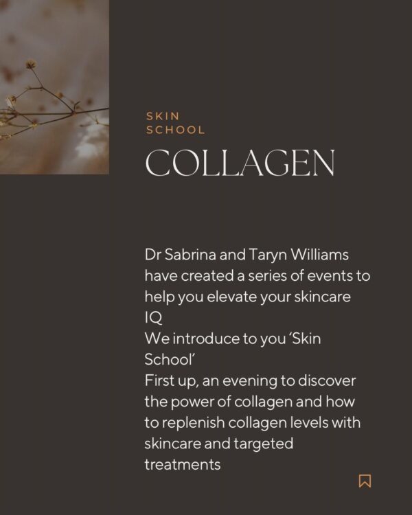 Skin School Series - #1 Collagen - Image 5